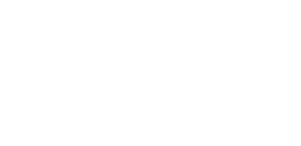 Valor1